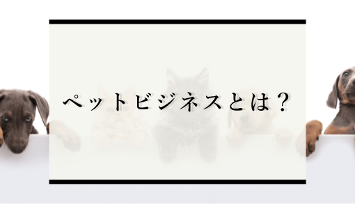 市場規模13兆円？ペットビジネスが注目される理由や市場拡大の要因を解説